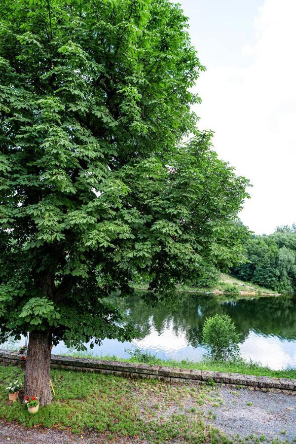 Haus Seeblick Dippoldiswalde Buitenkant foto