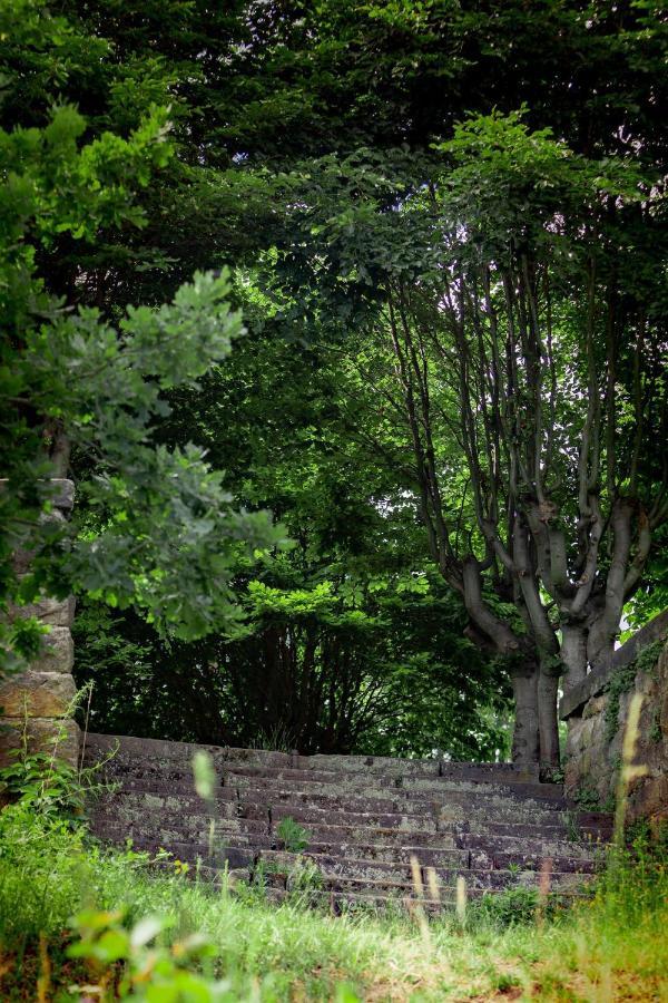 Haus Seeblick Dippoldiswalde Buitenkant foto